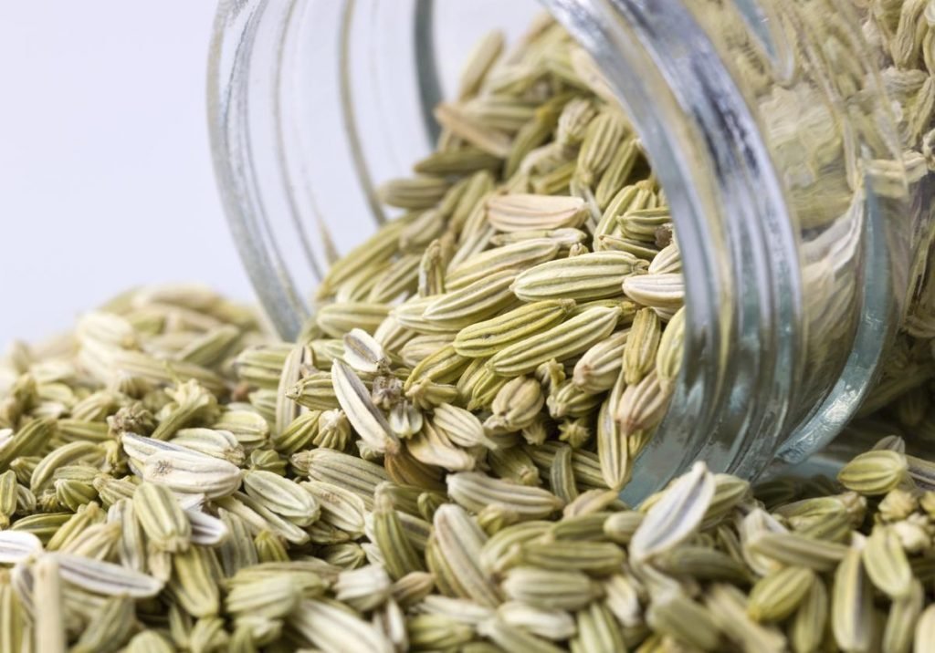 substitute for fennel seed