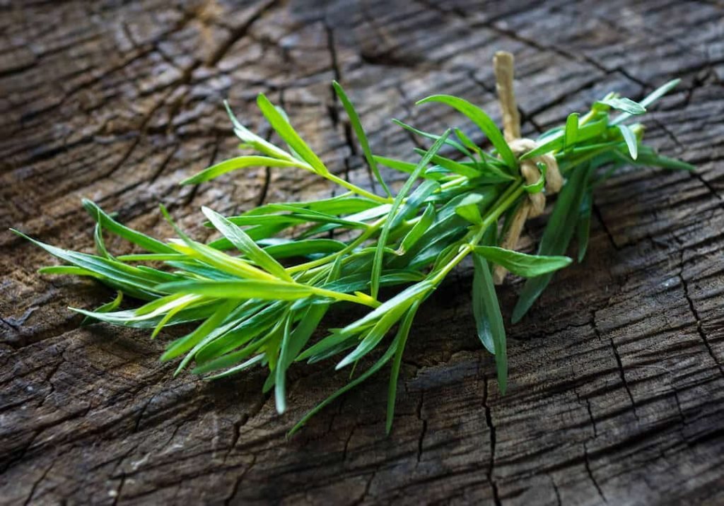 fresh tarragon