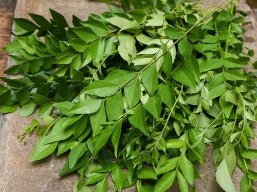 curry-leaves image