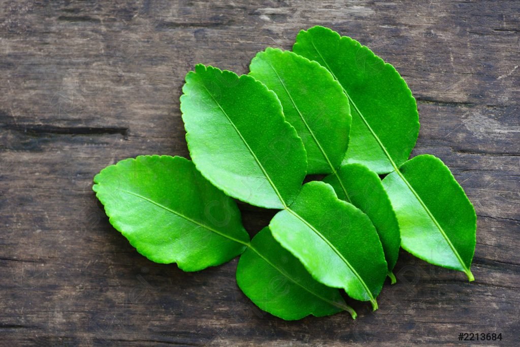 substitute for kaffir lime leaves