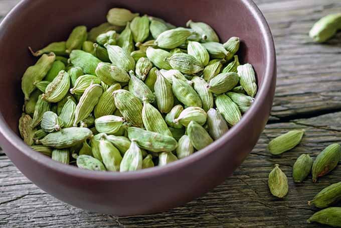 cardamom image