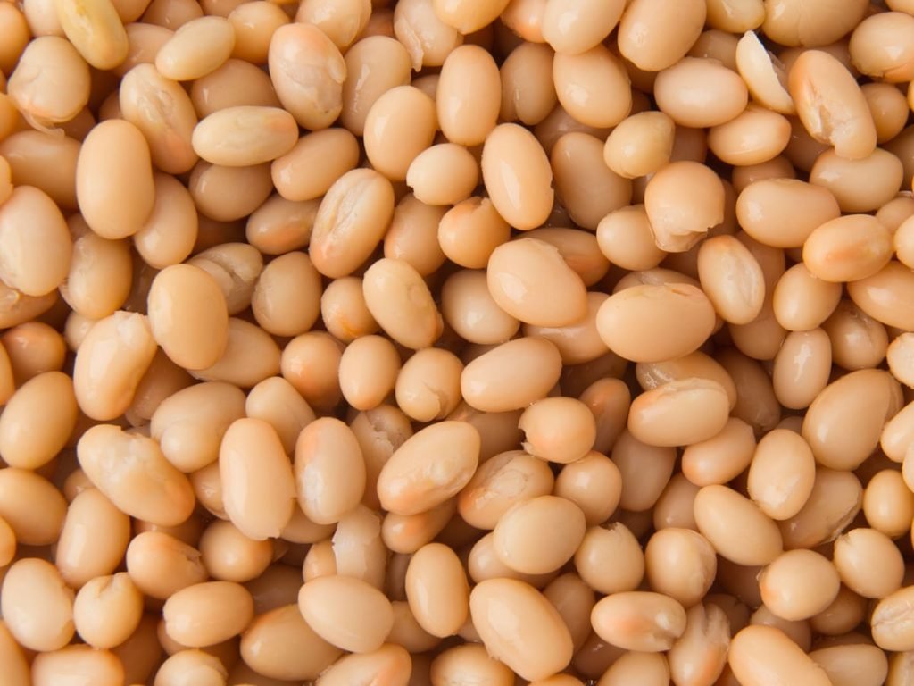 navy beans