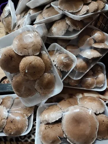frozen Portobello mushrooms-leancleanandbrie.com